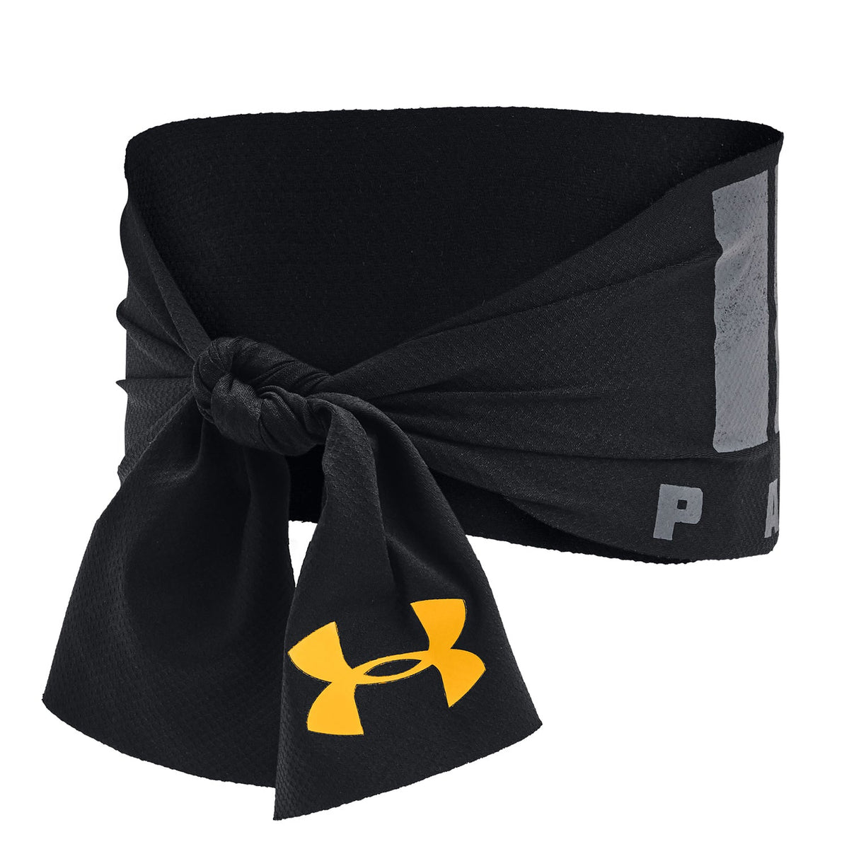 Banda para la Cabeza Project Rock Tie